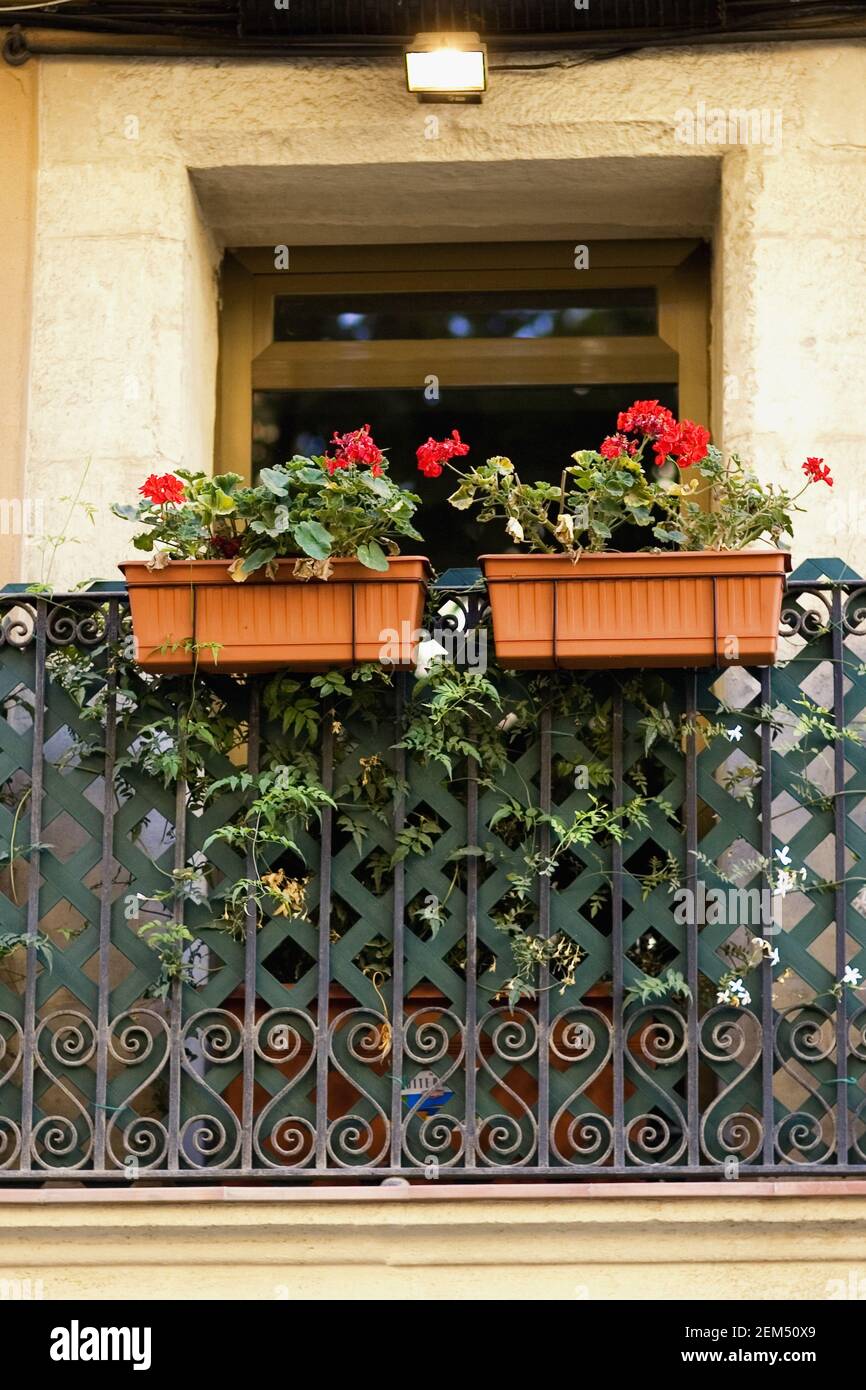 Potted railing hi-res stock photography and images - Alamy