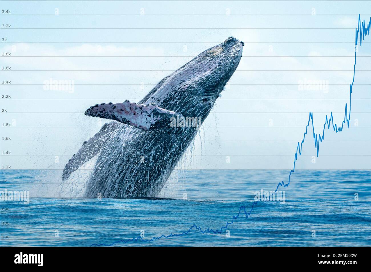 Breaching whale with stock market money cripto value bitcoin diagram flow  chart Stock Photo - Alamy