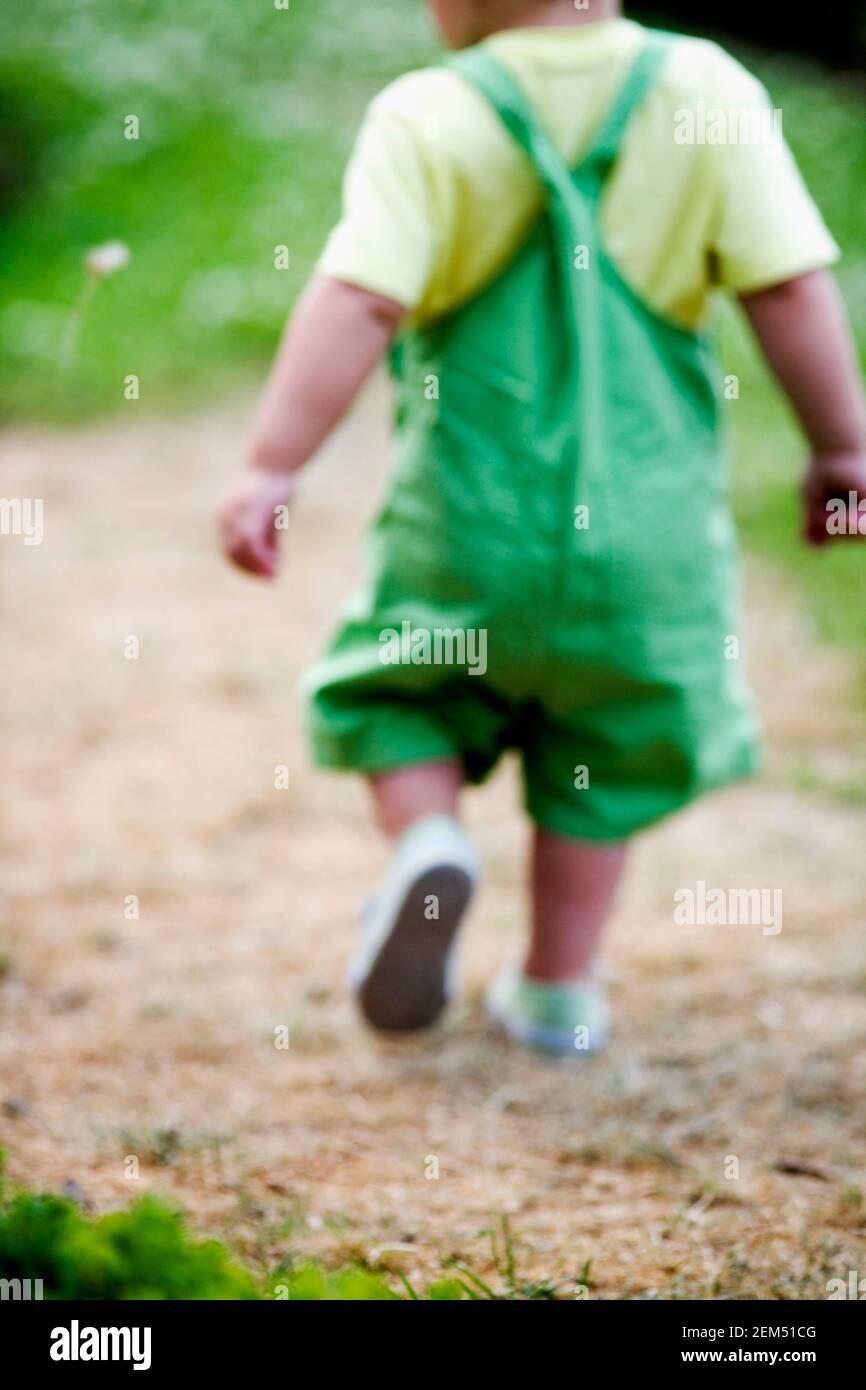 Rear view of a baby boy walking Stock Photo Alamy