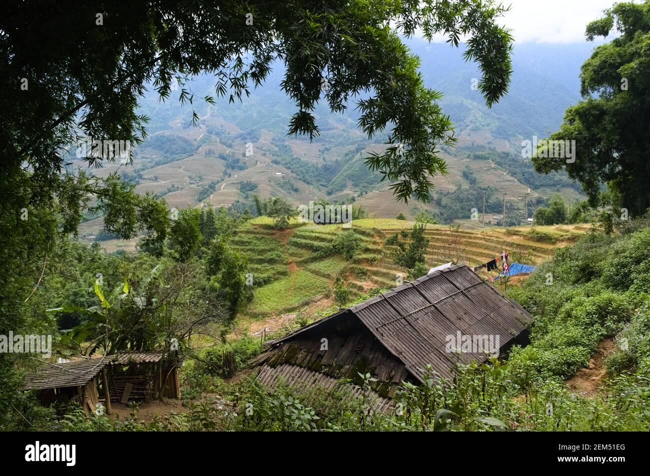 Old house in small village in mountains. Traditional vietnamese rural landscape with terraced rice fields. Valley vie on a background. Sa Pa, Vietnam Stock Photo