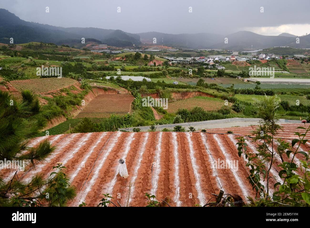 Agriculture fields and farms in small village. Overcast sky over
