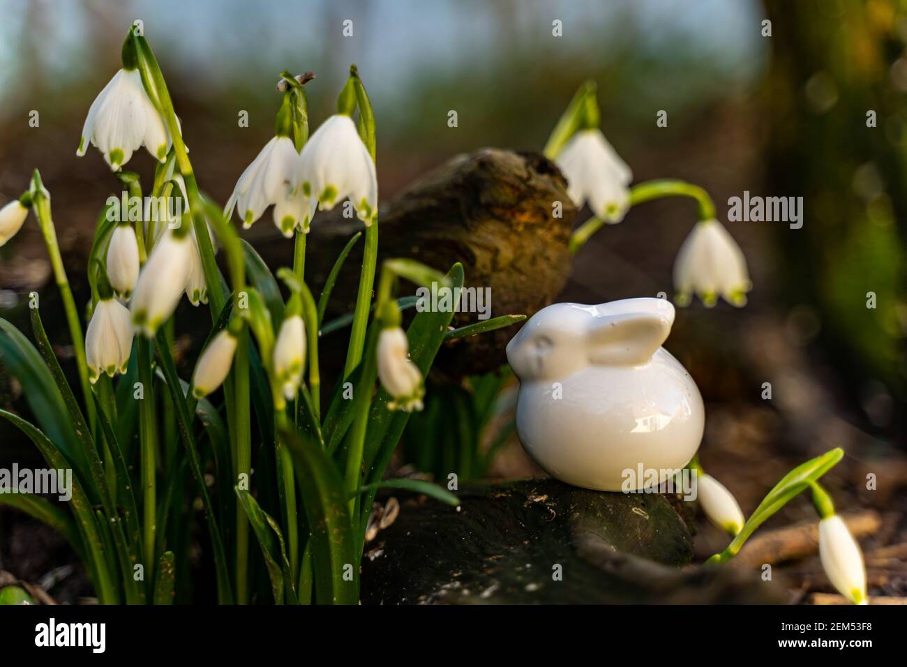 Porcelain Bunny High Resolution Stock Photography and Images - Alamy