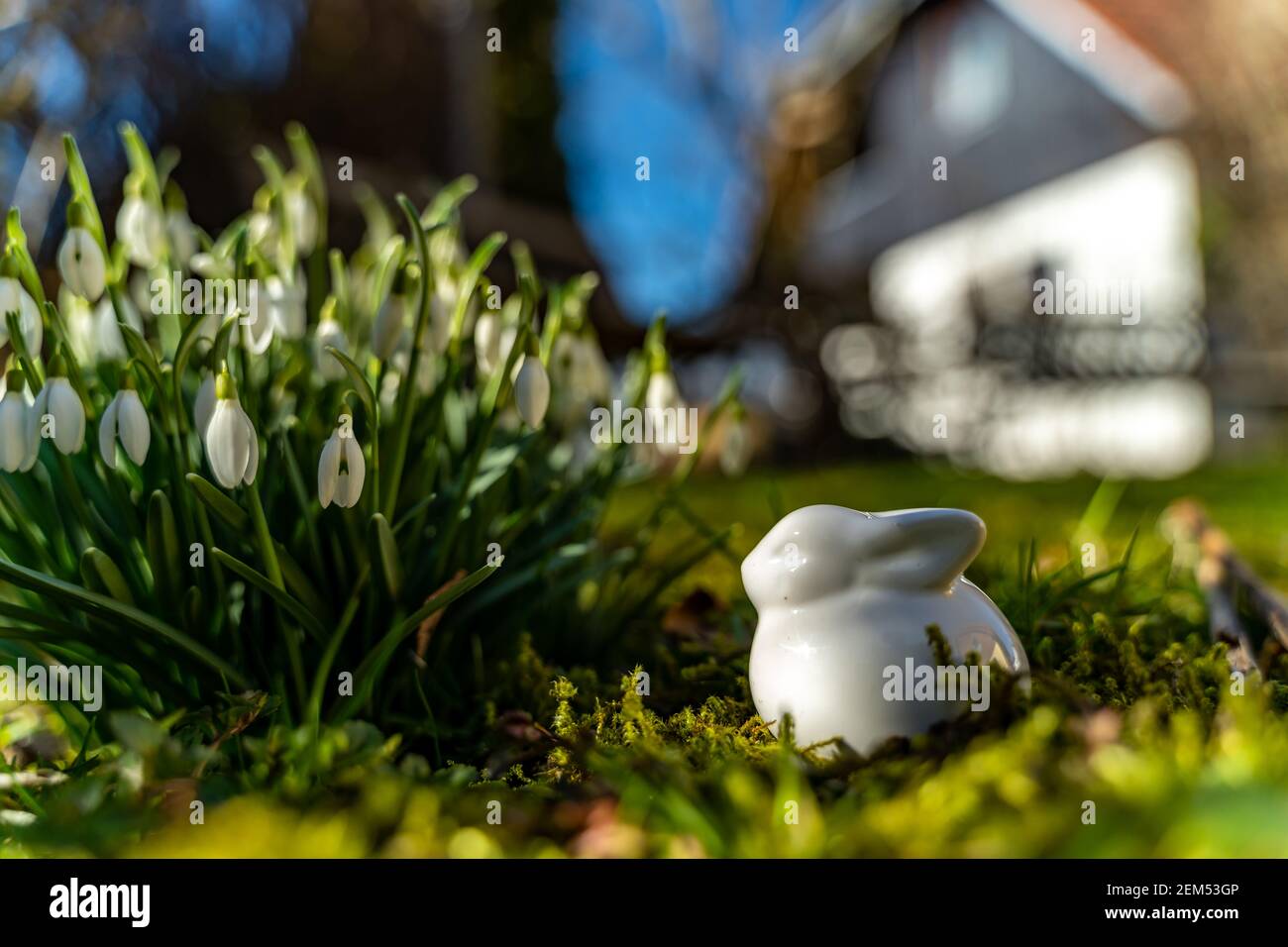 Porcelain Bunny High Resolution Stock Photography and Images - Alamy