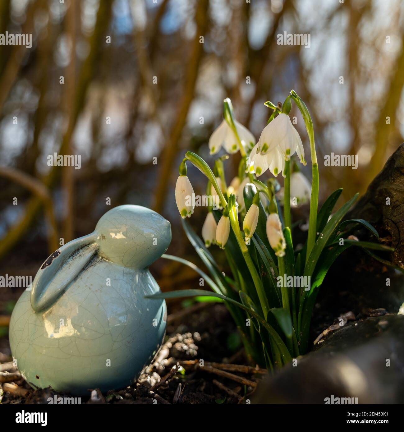 Porcelain Bunny High Resolution Stock Photography and Images - Alamy