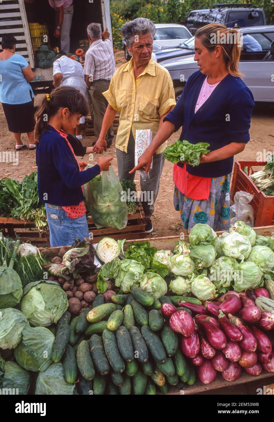 EL HATILLO, CARACAS, VENEZUELA, 1988 - Vegetable vendor sells to customers.. Stock Photo