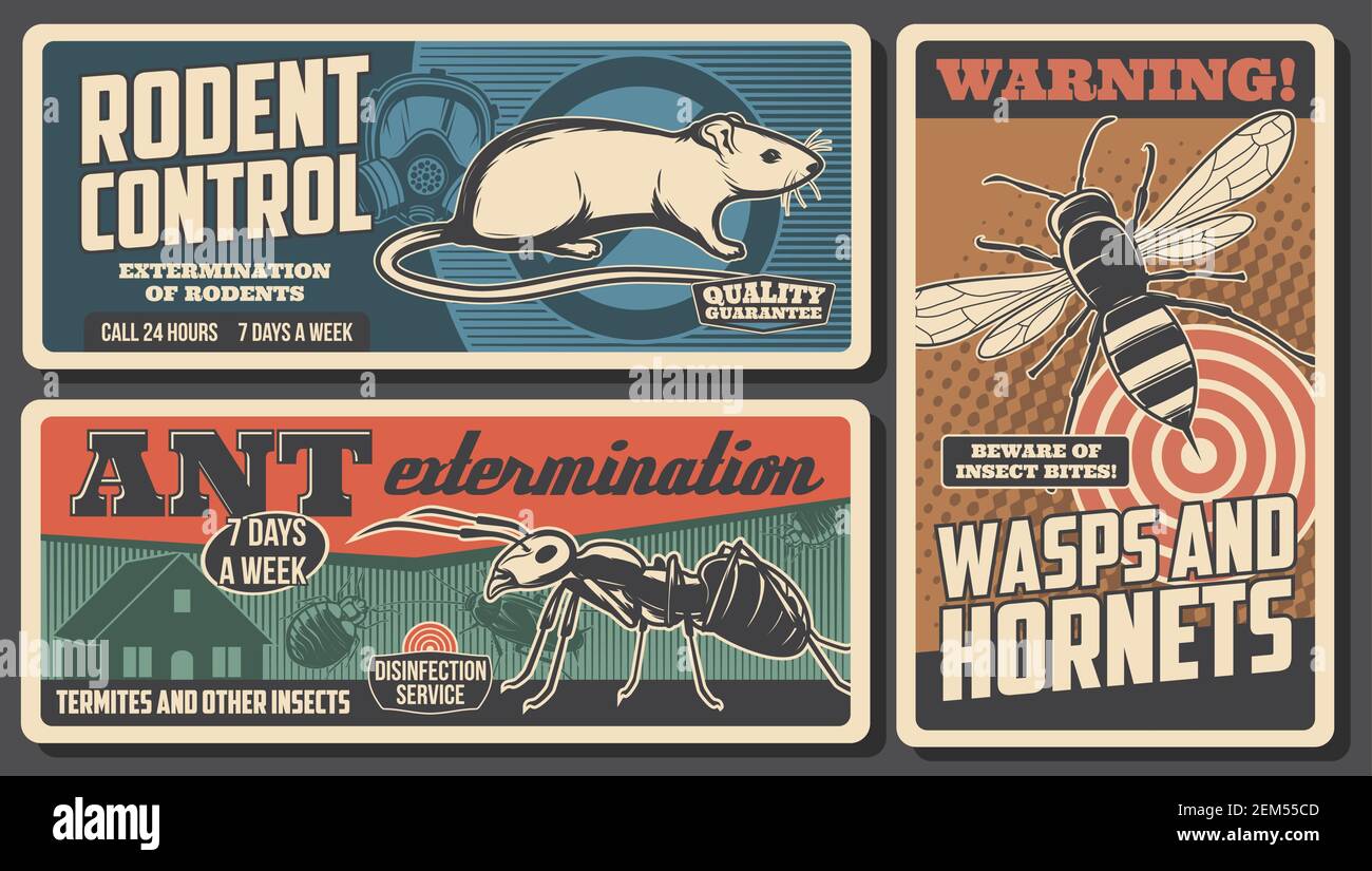 Domestic pest control service, deratization or rodent extermination vintage retro poster. Vector insects, ants and wasps pest control, mousetraps and Stock Vector