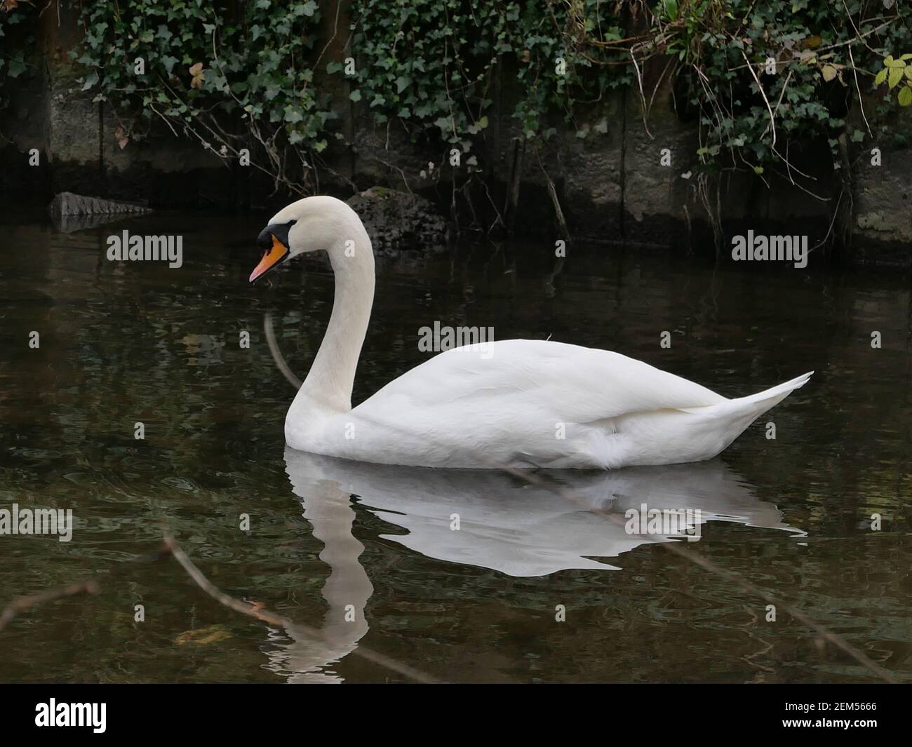 Baron river weir hi-res stock photography and images - Alamy