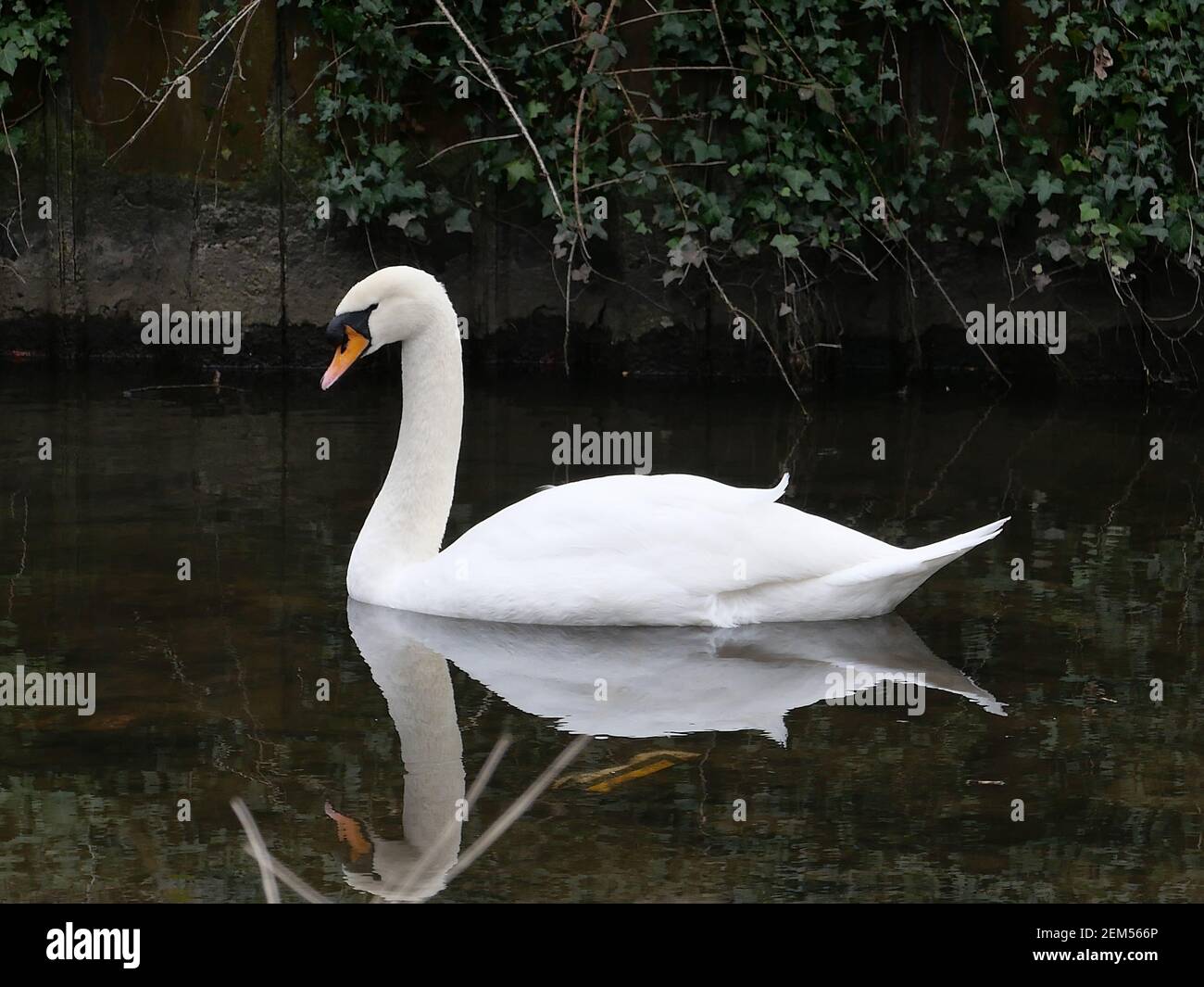 Baron river weir hi-res stock photography and images - Alamy