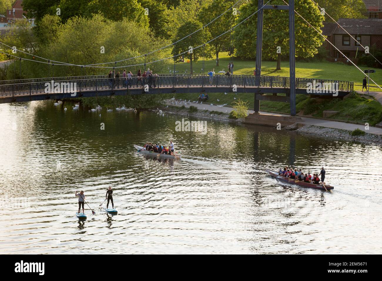 StandUp Paddleboarders and Dragonboat Racers on the River Exe at
