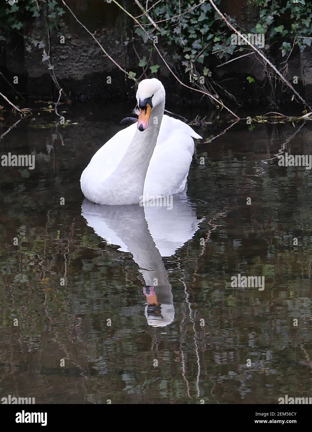 Baron river weir hi-res stock photography and images - Alamy