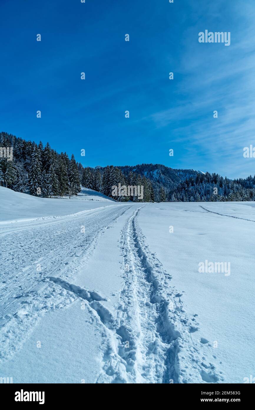 snowshoe and cross-country ski trail through the snowy Bregenz Forest. Weg durch den verschneiten Wald. winter wonderland with snowy fir  spruce trees Stock Photo