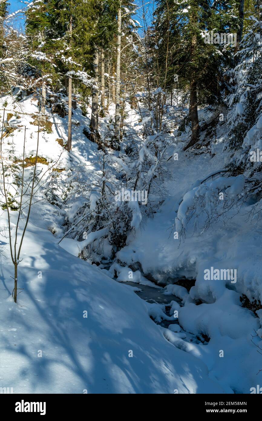 Winter im Bregenzerwald mit vereistem Bach im verschneiten Wald. Winter in the Bregenz Forest with an icy brook in the snowy forest. waterfall and sun Stock Photo