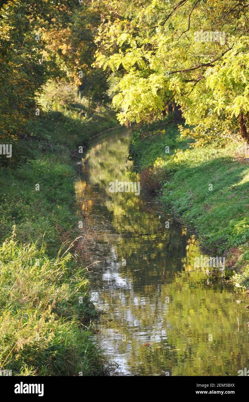 shot of a spring river with trees and green grass on the banks of the river, Poland Stock Photo