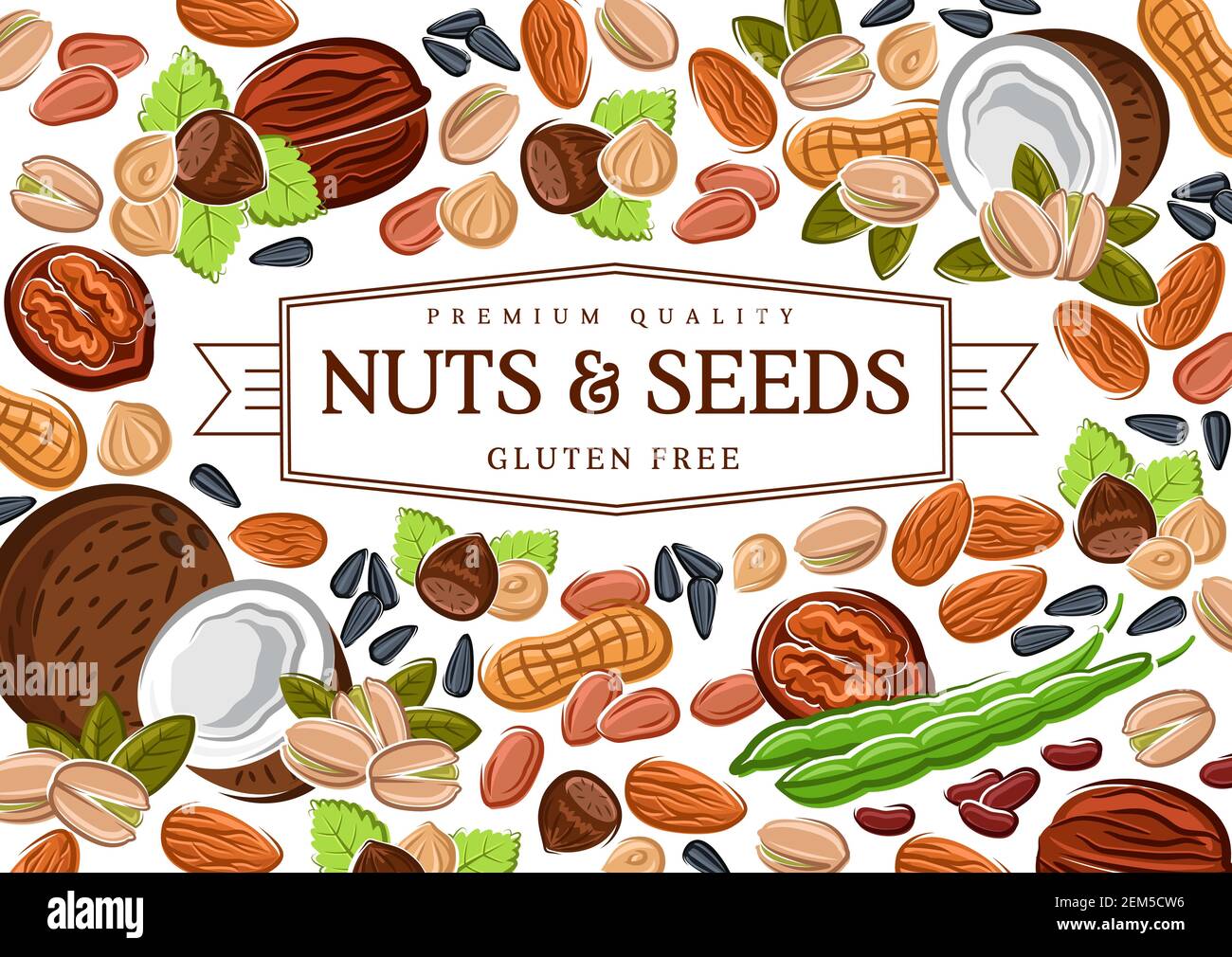 Nuts, cereal grains, beans and seeds poster, gmo free healthy food