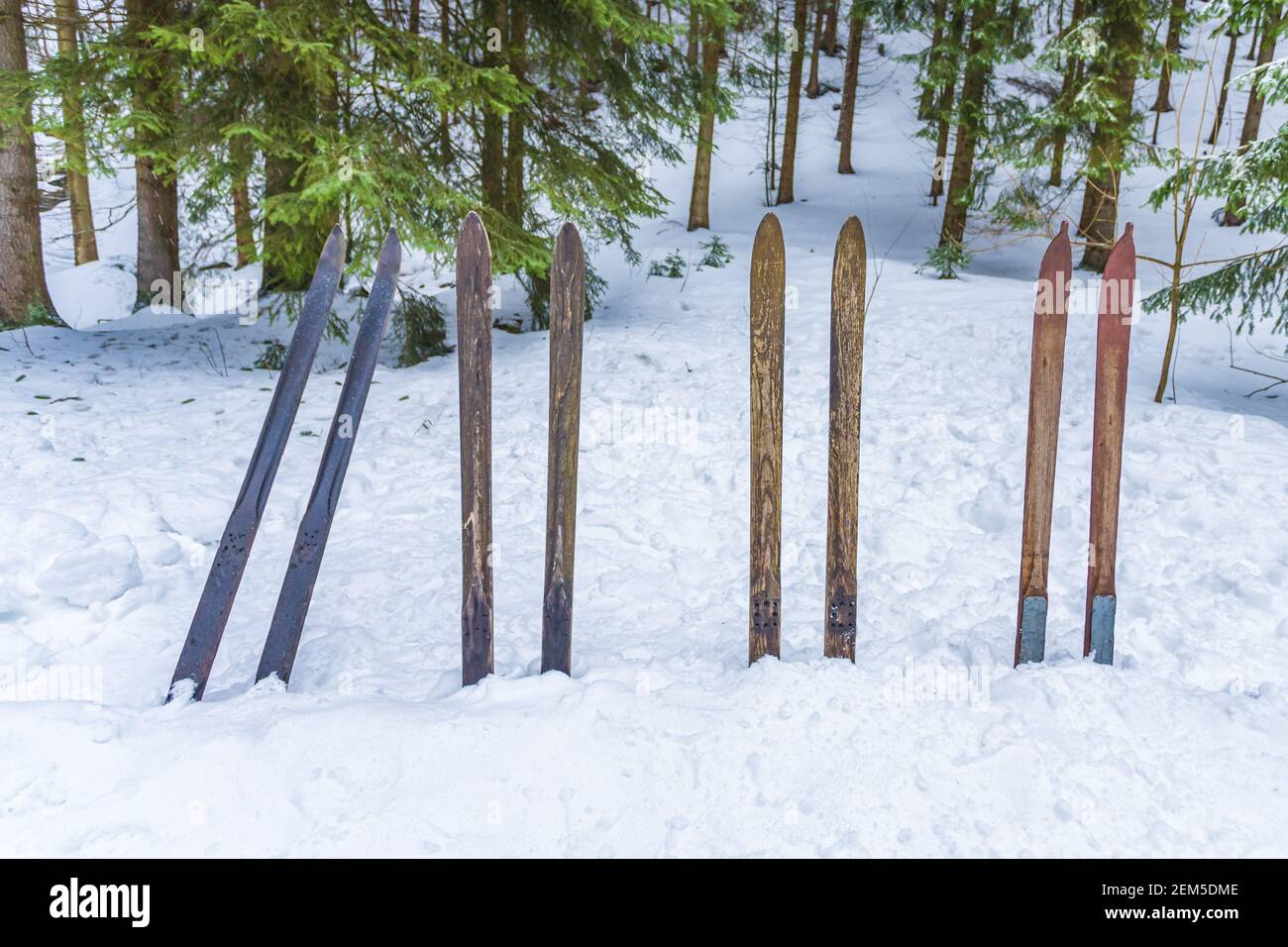 Old wooden skis stuck in the snow in the forrest. Vintage winter sports background. Stock Photo