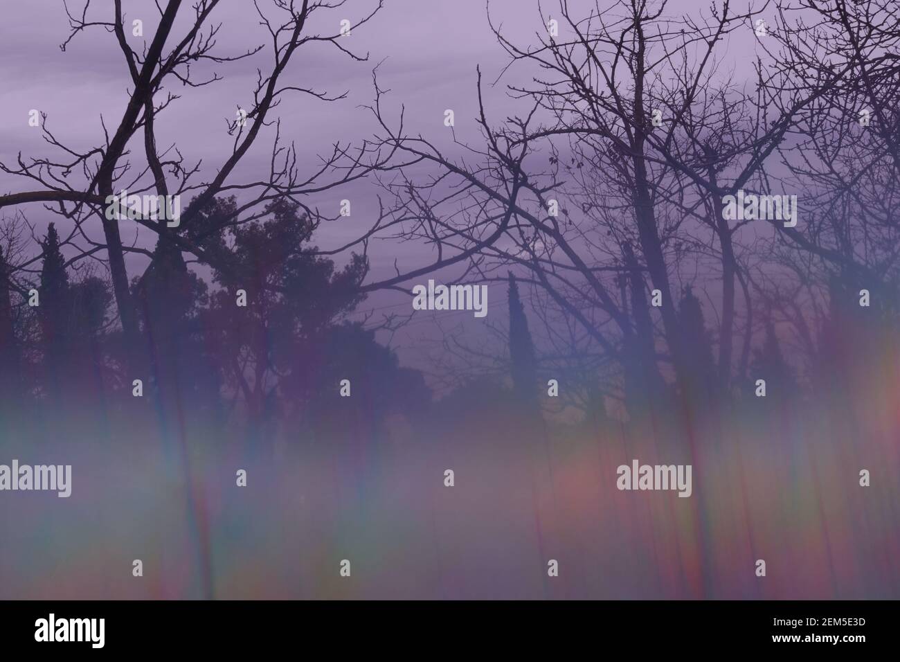 Trees landscape hi-res stock photography and images - Alamy