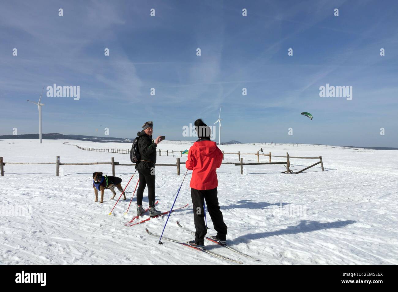Winter sports lifestyle, senior couple skiers, man woman dog on cross-country ski trail in snowy landscape Stock Photo