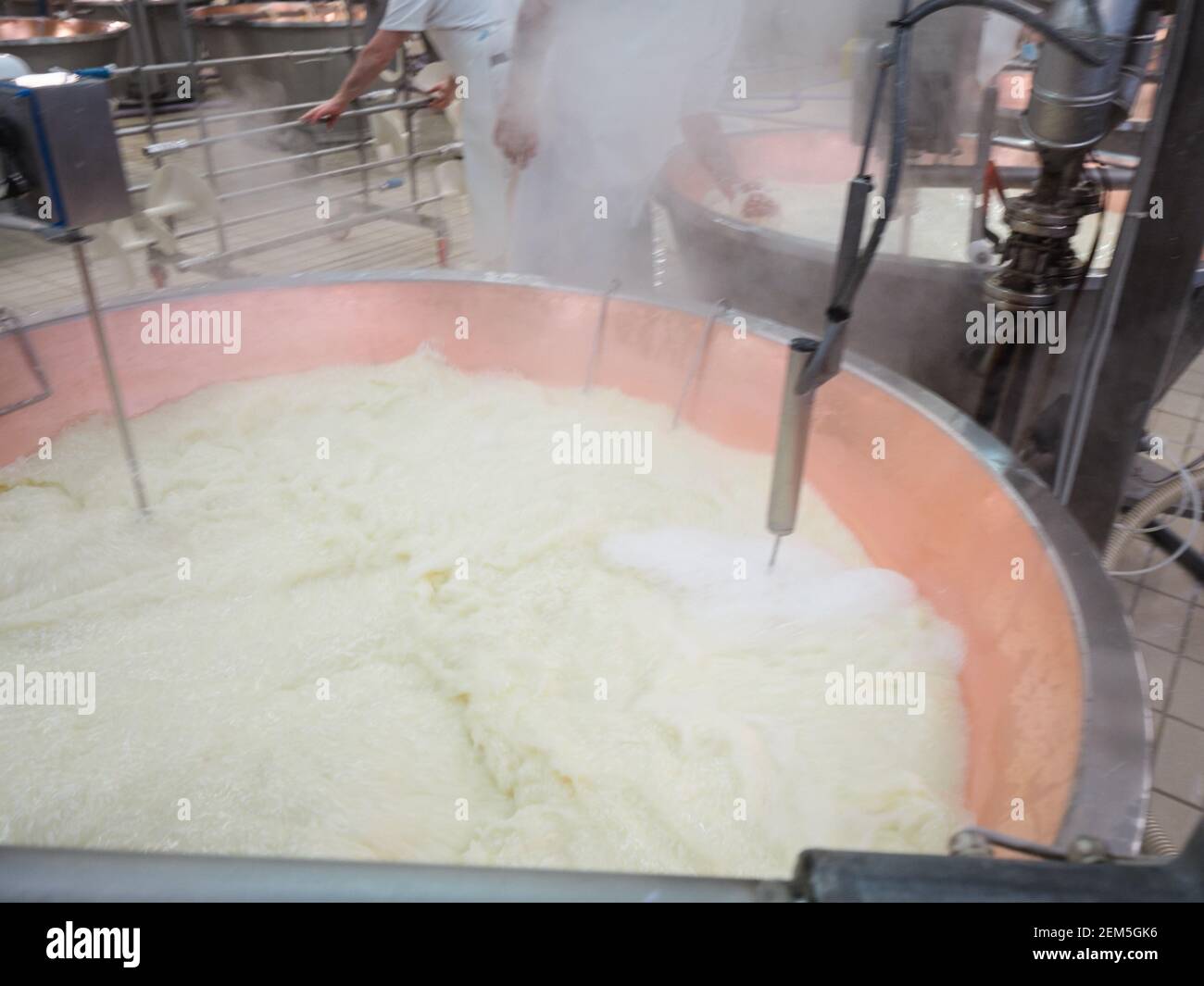 Parmigiano Reggiano cheese making facility Stock Photo Alamy
