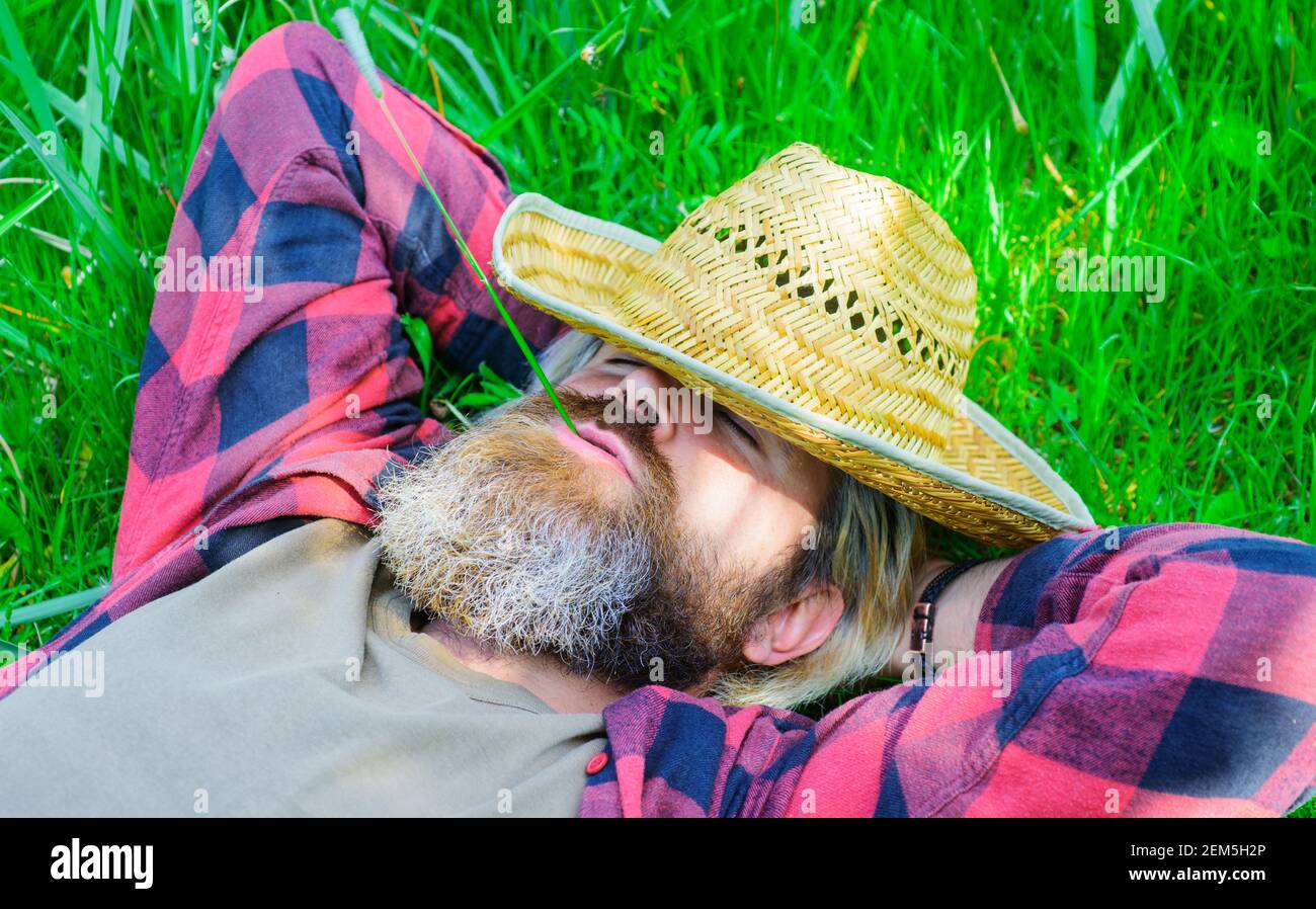 Happy relaxed male in checkered shirt and hat lying on green grass. Happy man relaxing outdoors in summer. Stock Photo