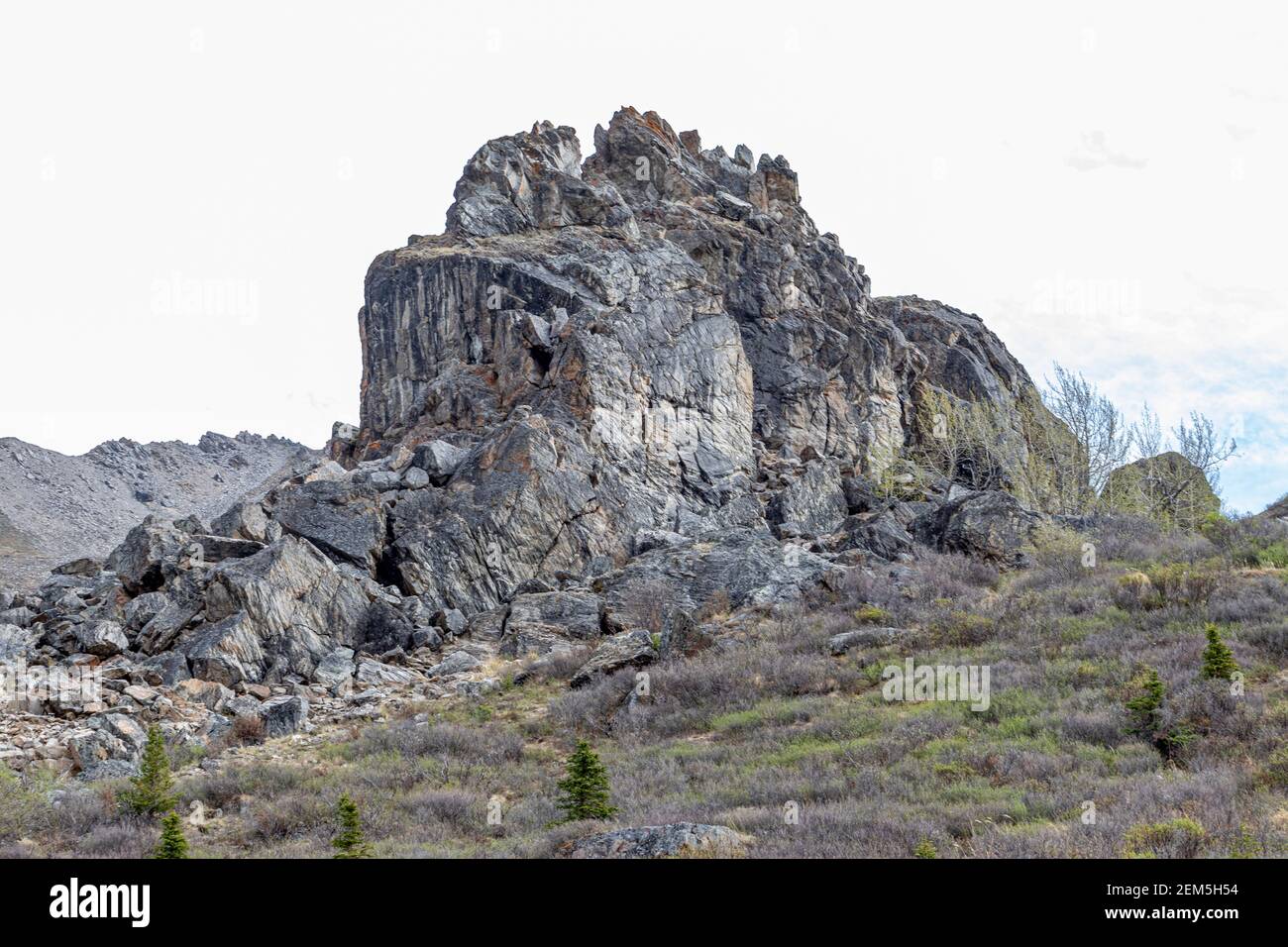 Healy Ak Elevation at Robert Hwang blog