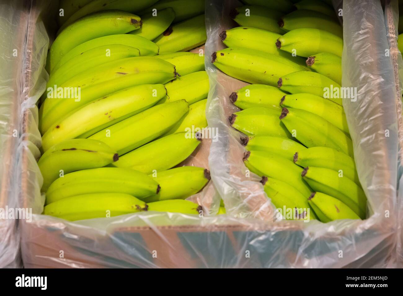 A box of bananas on sale in a UK supermarket Stock Photo Alamy