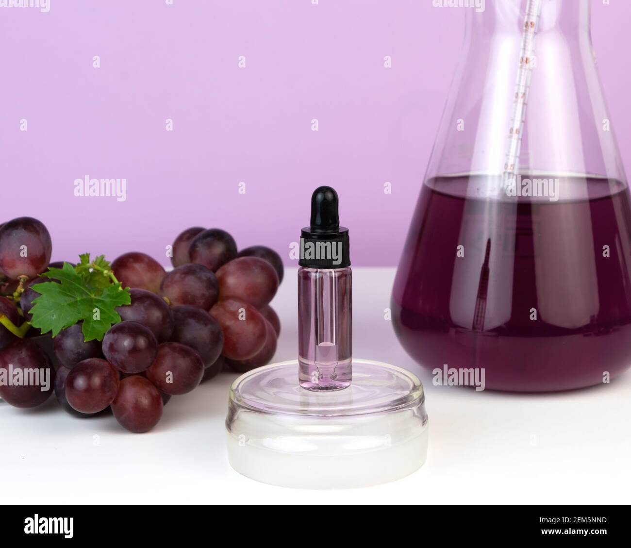 Bio Bio Grape Grape Skins High Resolution Stock Photography and Images - Alamy