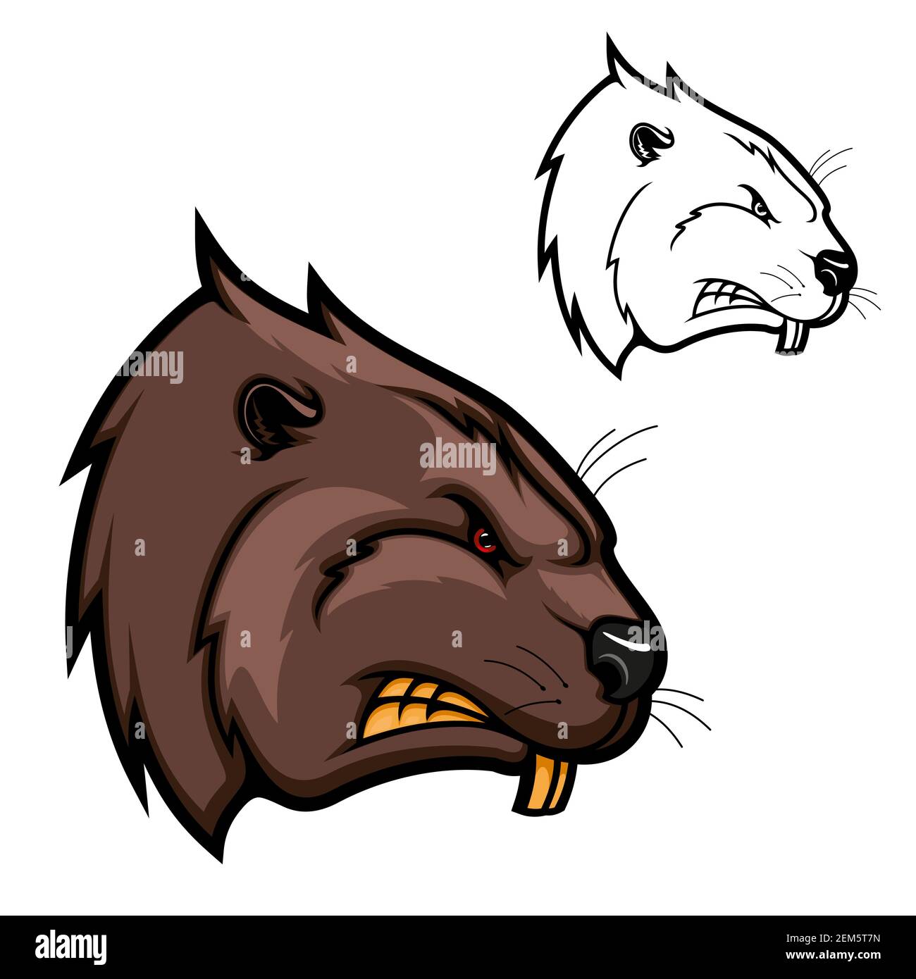 Beaver animal vector mascot of rodent head with angry muzzle, strong teeth,  brown fur and red eyes. Forest river or woodland wildlife, hunting sport c  Stock Vector Image & Art - Alamy