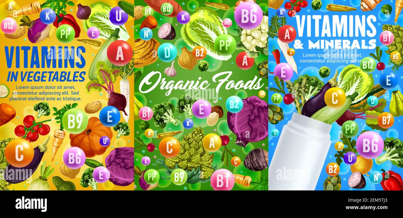 Vitamins and minerals in vegetables. Vector veggies tomato, eggplant and beet, carrot, cabbage