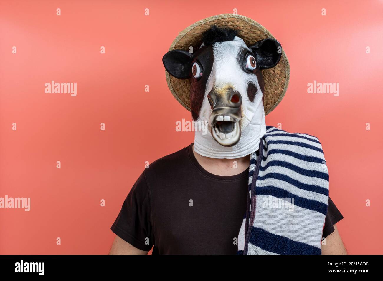 https://c8.alamy.com/comp/2EM5W0P/person-in-cows-head-costume-with-towel-and-straw-hat-ready-to-go-to-the-beach-with-pink-background-2EM5W0P.jpg