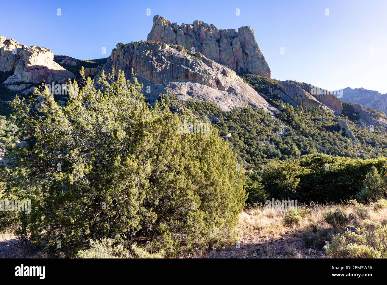 Cave Creek Canyon, Chiricahua Mountains, views from the Silver Peak Trail, Portal, Southeastern Arizona, USA Stock Photo