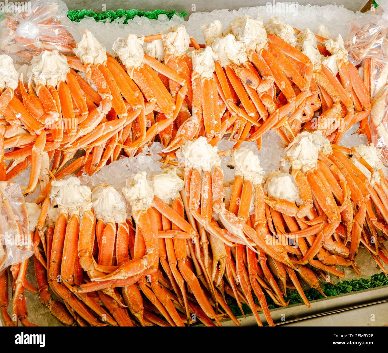 Snow Crab Clusters. Chionoecetes . Opilio Stock Photo Alamy