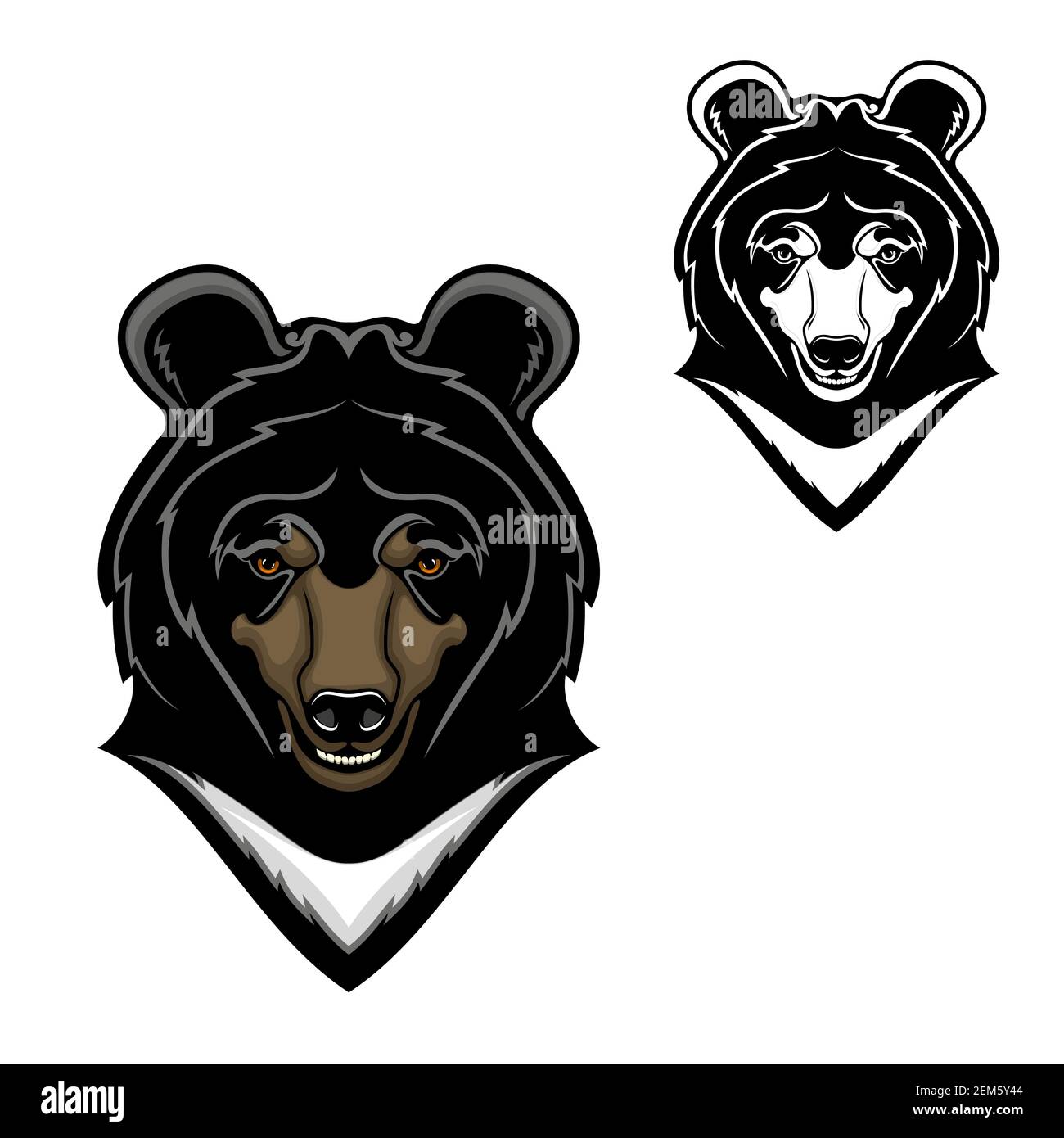 Bear animal head vector cartoon of Himalayan bear mascot design. Wild predatory mammal with white chest, long snout and teeth, mountain forest wildlif Stock Vector