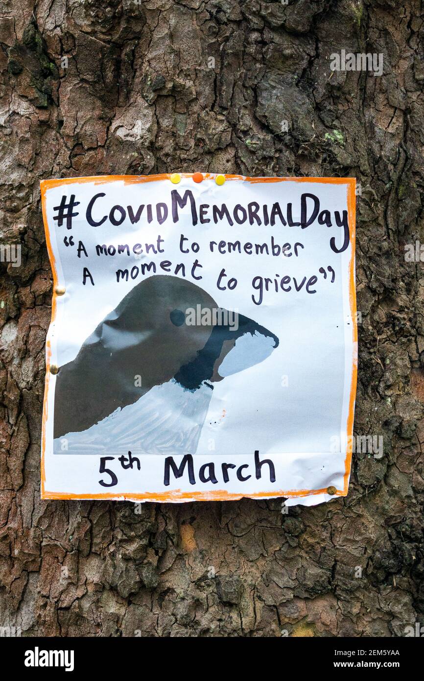 Covid Memorial Day poster on a tree in Hampstead Heath, London, promoting taking a time to remember those who have died from covid19. UK Stock Photo