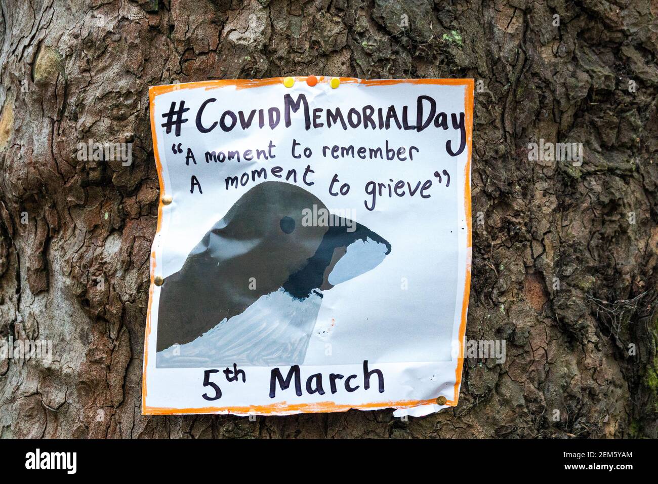 Covid Memorial Day poster on a tree in Hampstead Heath, London, promoting taking a time to remember those who have died from covid19. UK Stock Photo