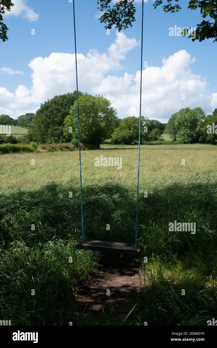 A swing hanging from a tree in Cardington, Shropshire. Stock Photo