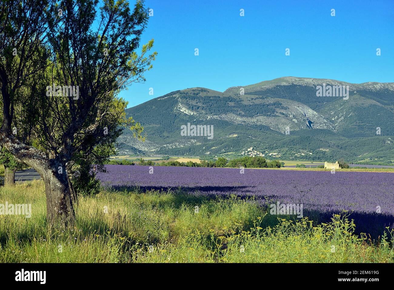 Valensol High Resolution Stock Photography and Images - Alamy