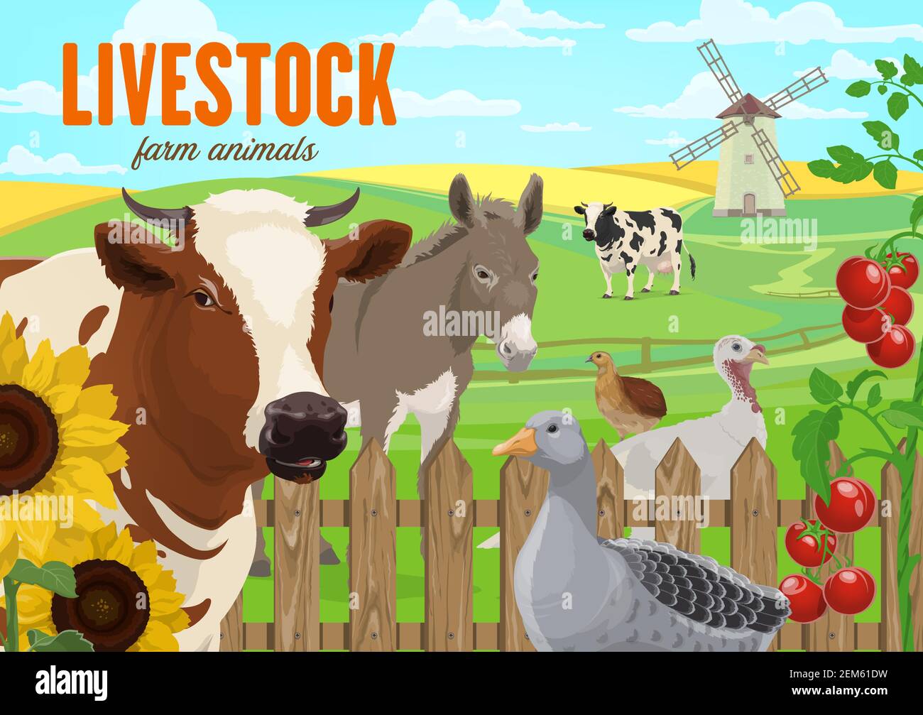 Farm animals, agriculture vector banner. Cattle and poultry farming. Cow  and bull, donkey, goose, turkey and quail on ranch meadow. Rural background  w Stock Vector Image & Art - Alamy