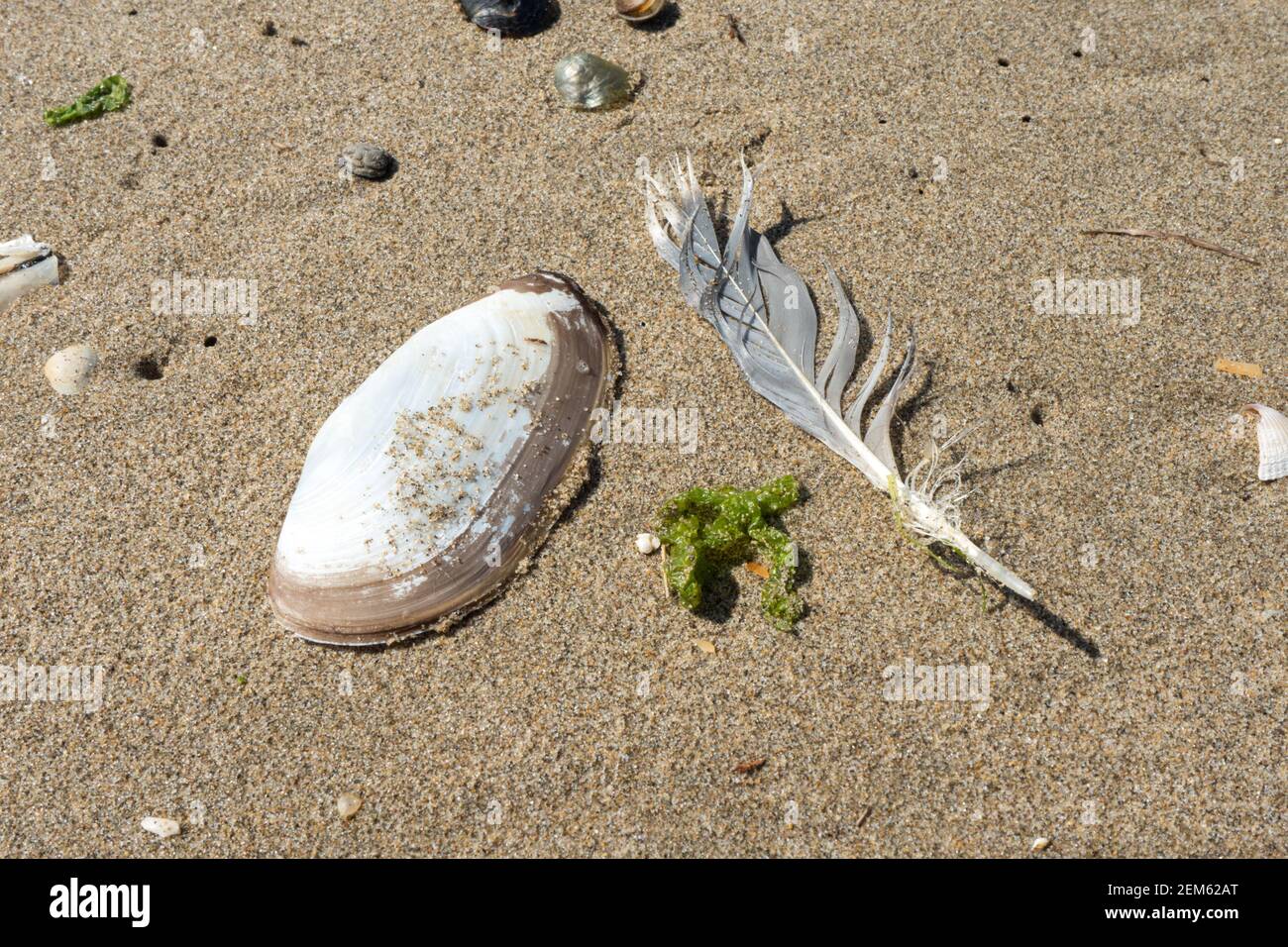 Summertime on the beach Stock Photo Alamy