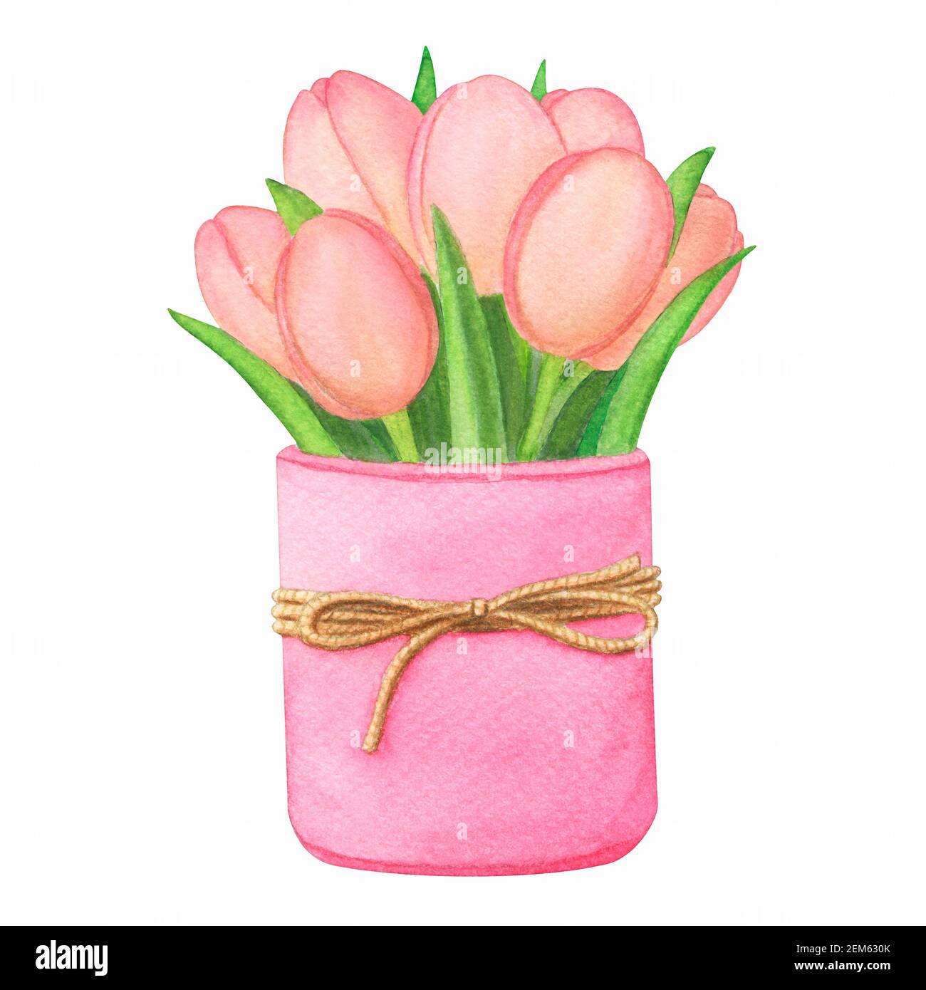 Vase with pink tulips watercolor illustration Stock Photo - Alamy