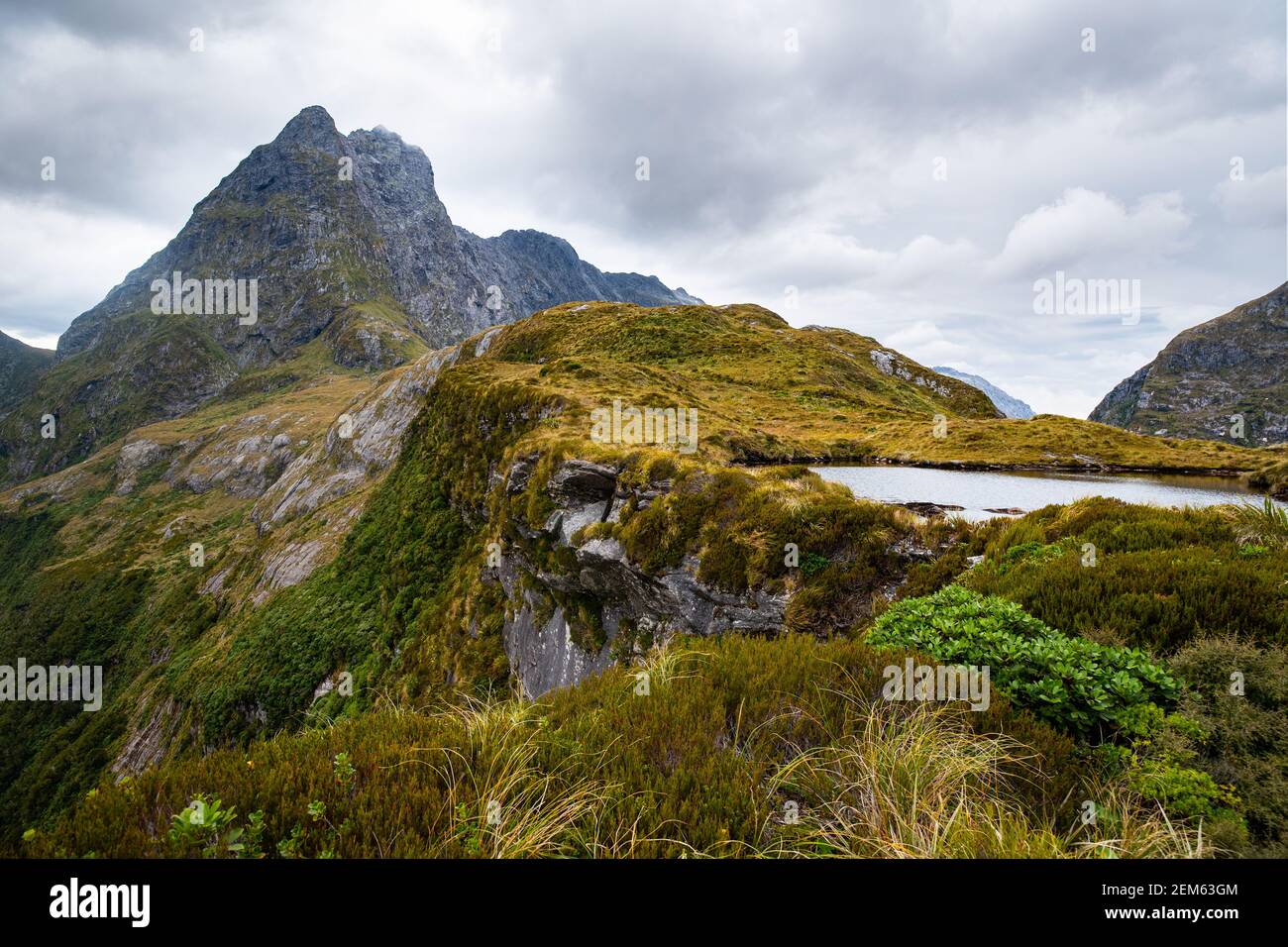 Quintin lodge milford track best sale