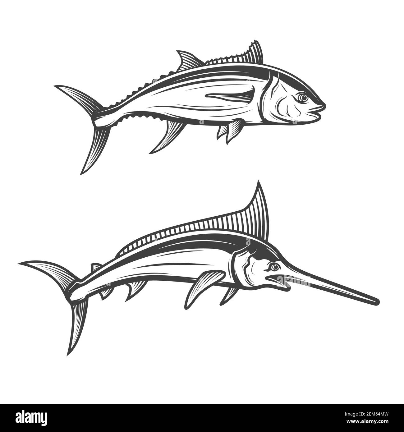 Marlin fishing vector vectors hi-res stock photography and images - Page 8  - Alamy