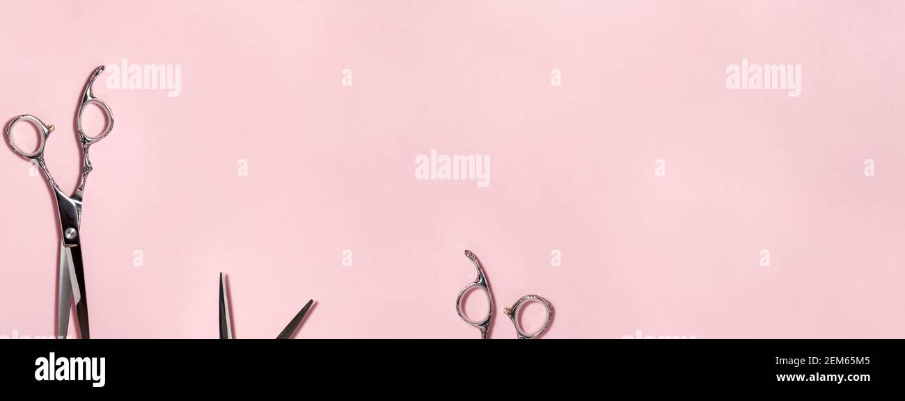 Banner flat lay from above of professional silver hair cutting shears set on pink background. Hairdresser salon equipment and haircut work tools conce Stock Photo