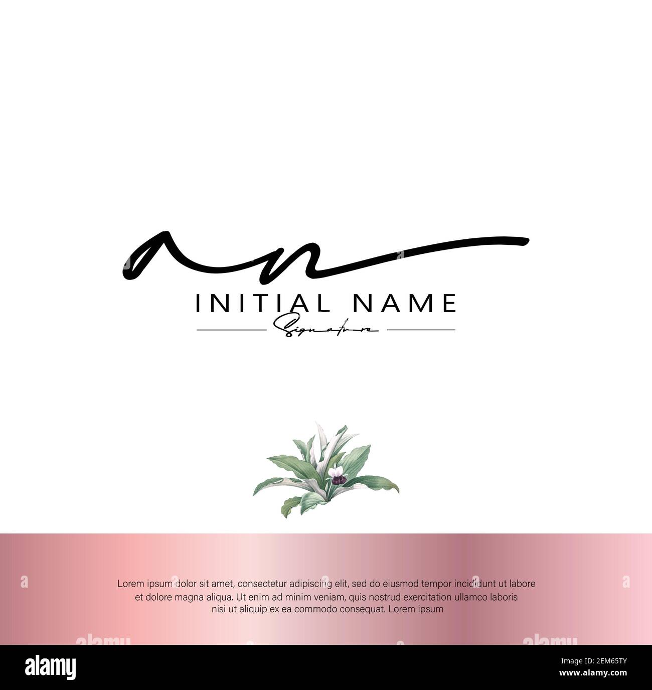 A N AN Initial letter handwriting and signature logo. Beauty vector initial logo .Fashion, boutique, floral and botanical Stock Vector