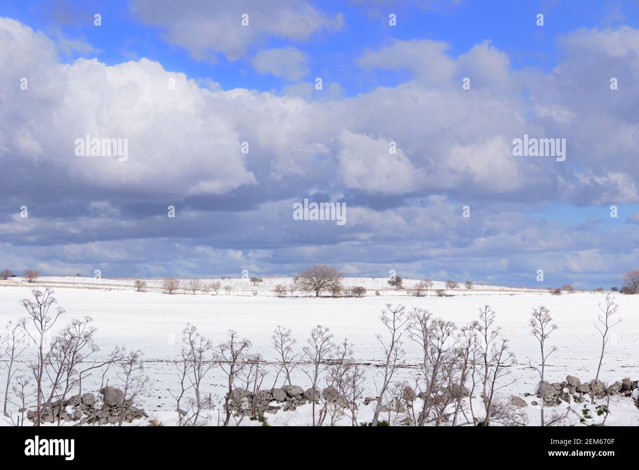 RURAL LANDSCAPE WINTER. Alta Murgia National Park: snowy hills.-(Apulia) ITALY Stock Photo