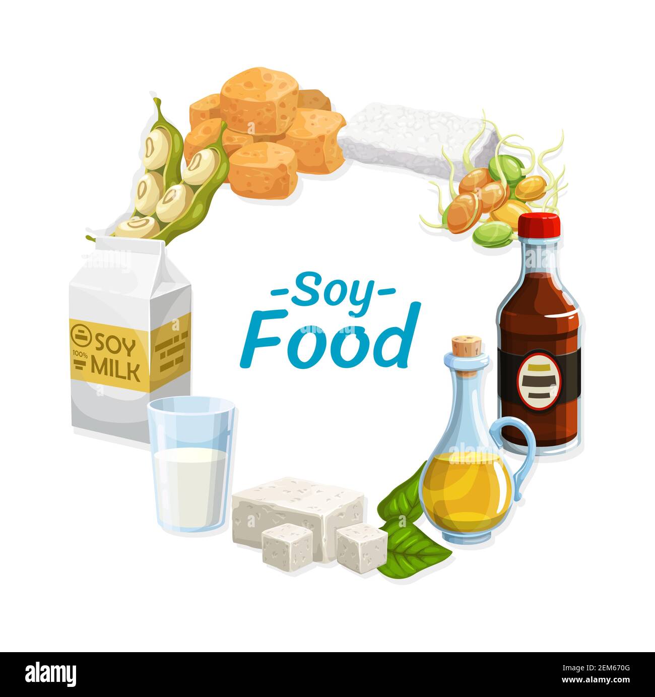 Soy products and soybean food. Vector vegetarian soy sauce, tofu cheese