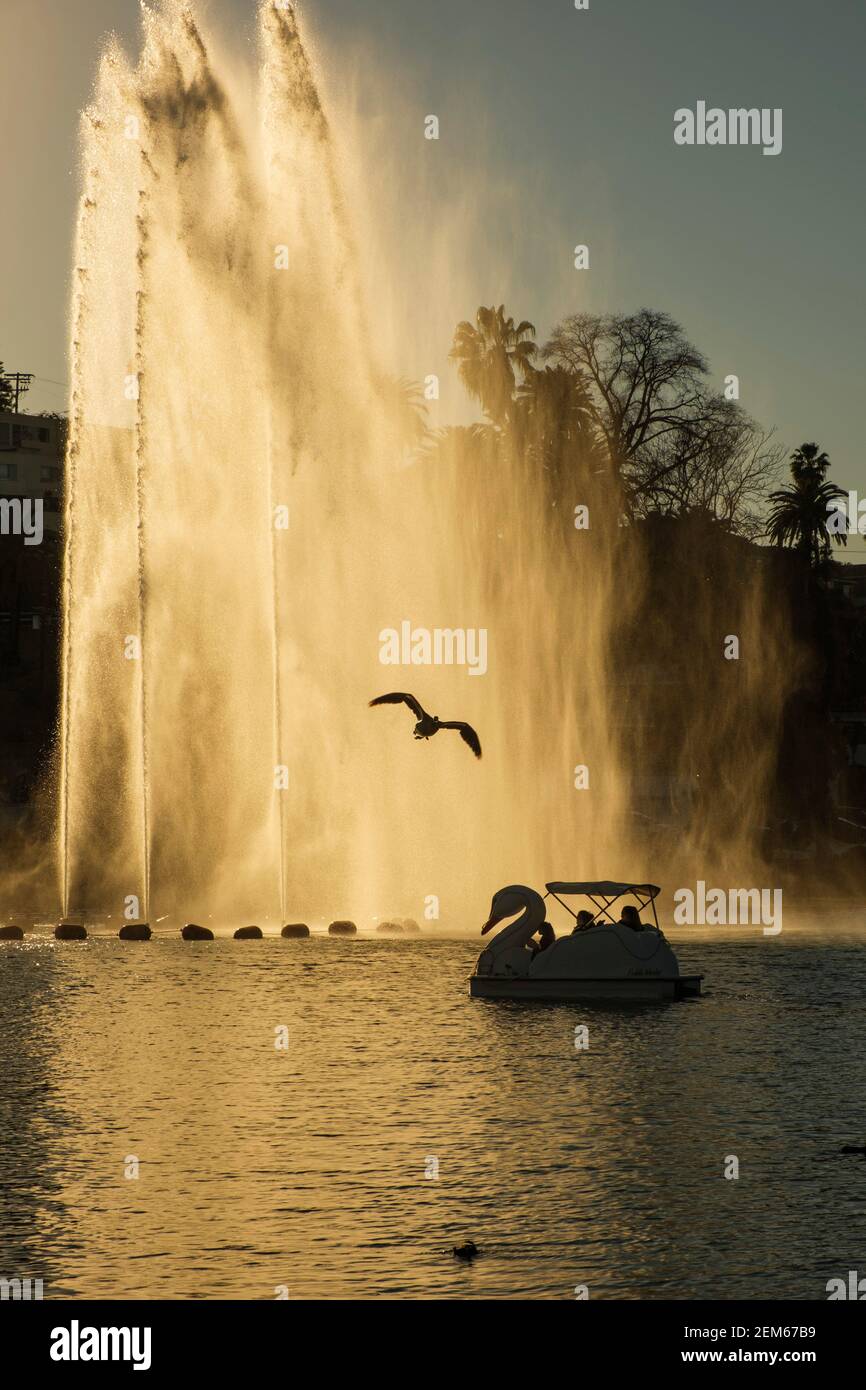 Paddle Wheel boats, Echo Park Lake, Los Angeles, California, United
