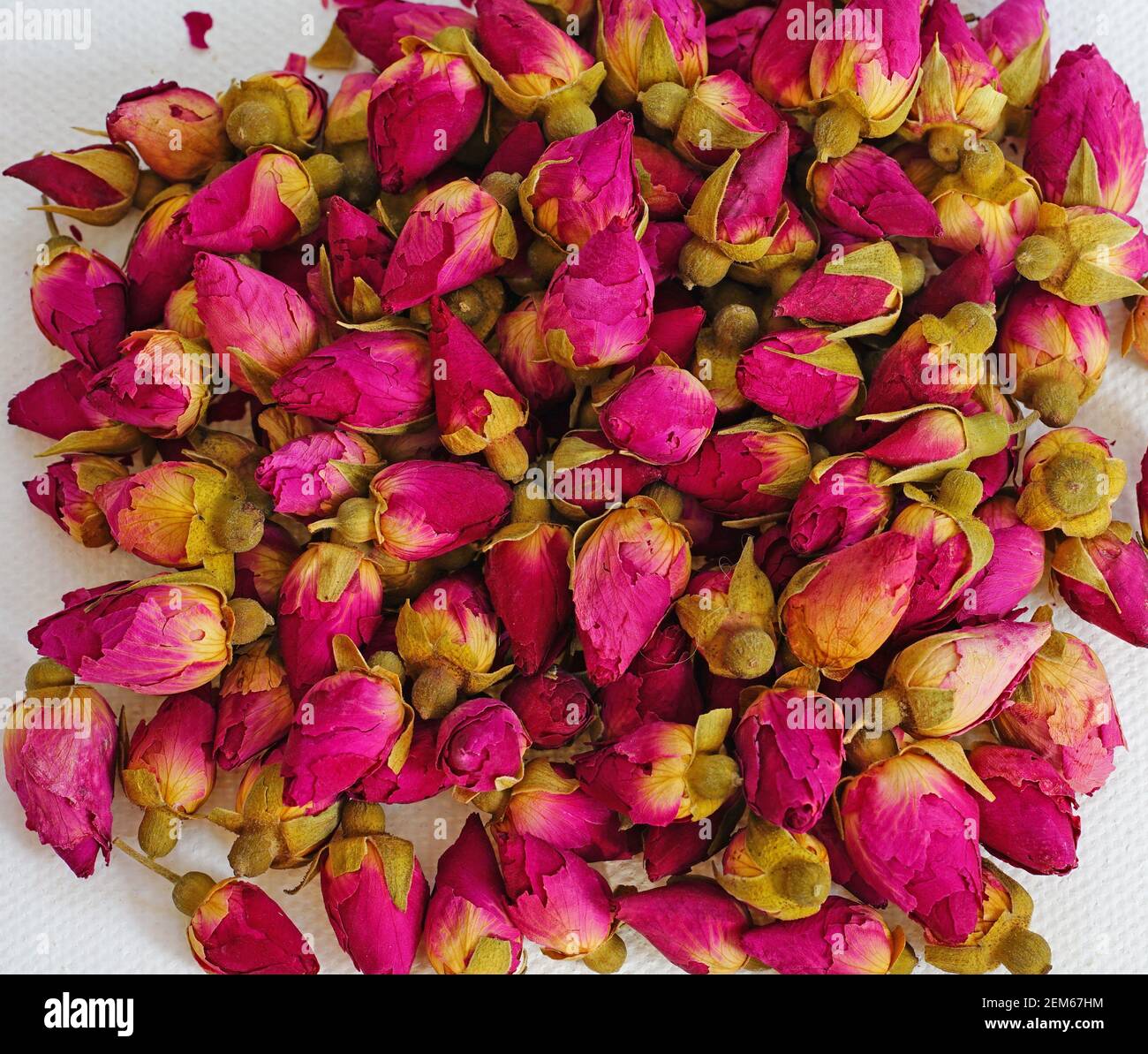 Dried pink rose buds background Stock Photo Alamy