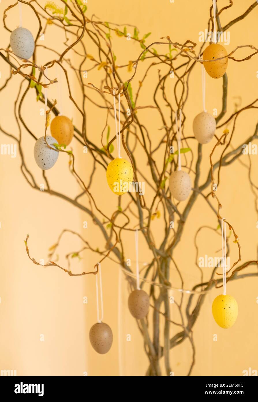 Branches decorated with Easter eggs. Decorations for the Easter holiday Stock Photo