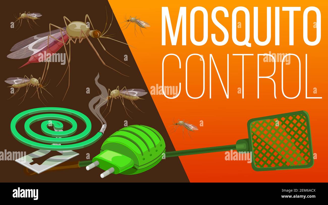 Mosquito pest control home insects and health protection service, vector  poster. Mosquito fumigation tools, electric repellent, coil spiral and  swatte Stock Vector Image & Art - Alamy