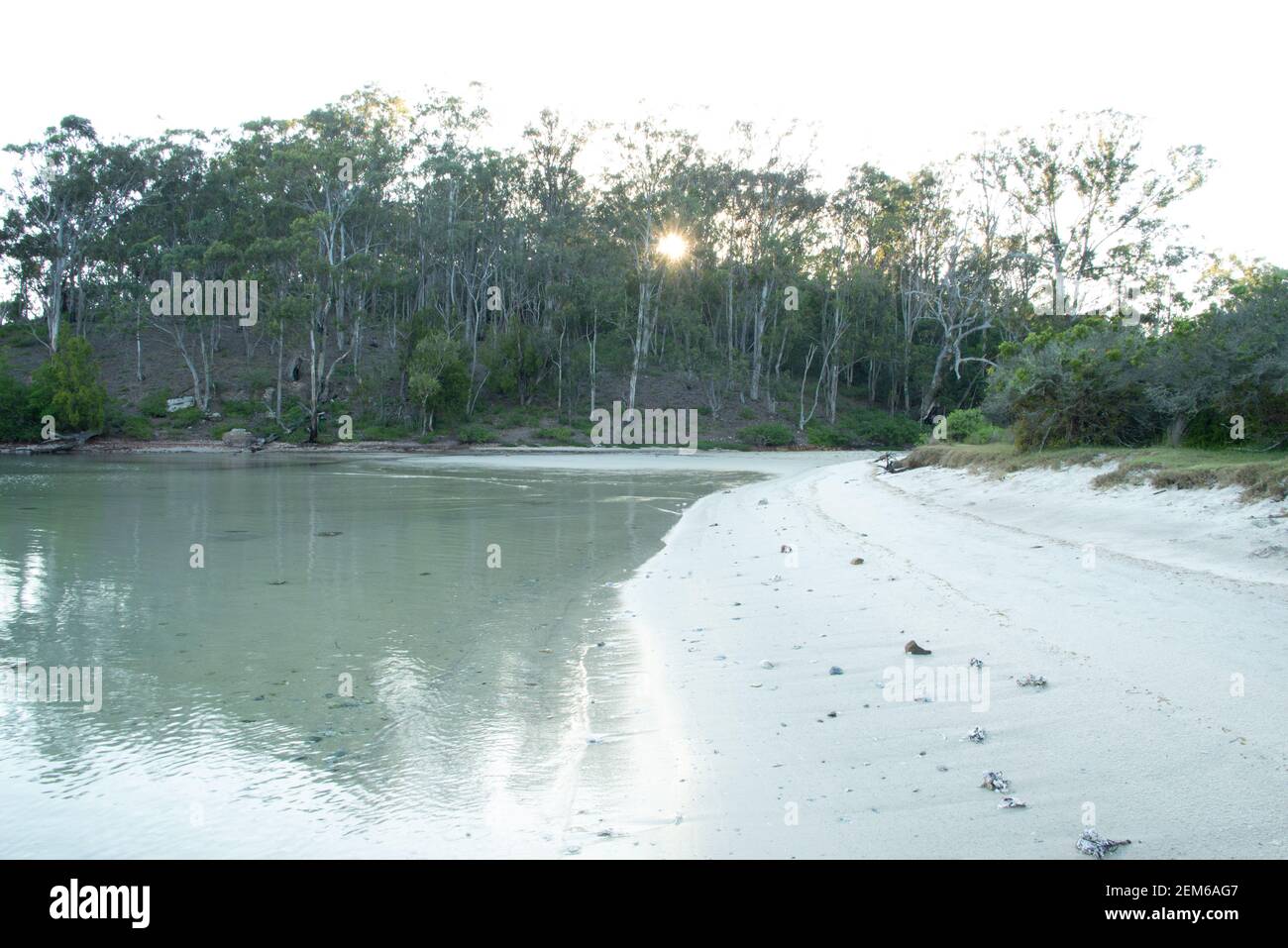 Sandy shore line Pambula River Ben Boyd National Park South eastern New South Wales. Stock Photo